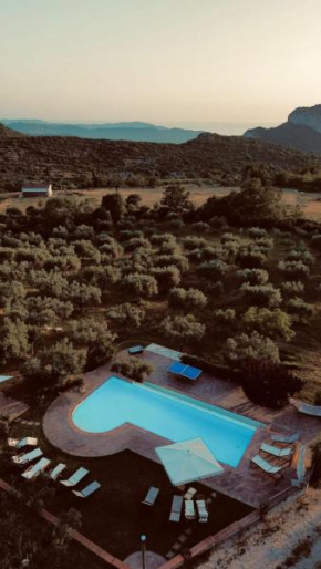 Azienda Agricola Passaro